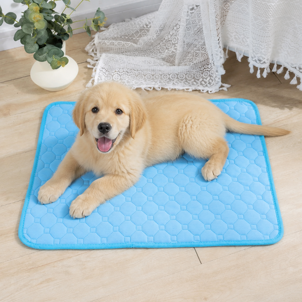 DogBedHouse Ultra-Absorbent Waterproof Quilted Training Pad (Machine Washable)