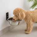 DogBedHouse Wall-Mounted Elevated Stainless Steel Pet Bowl