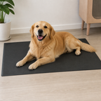 DogBedHouse Waterproof & Bite-Resistant Dog Mat