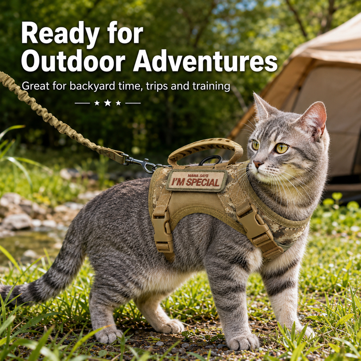 Escape-Resistant Adjustable Breathable Mesh Cat Harness (Vest-Style)
