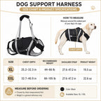 Full-Body Adjustable Padded Mesh Dog Lift Harness