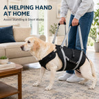 Full-Body Adjustable Padded Mesh Dog Lift Harness