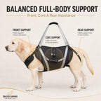 Full-Body Adjustable Padded Mesh Dog Lift Harness