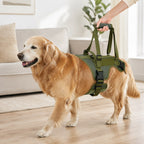 Full-Body Padded Dog Mobility Harness (Adjustable Lift Straps)