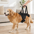Full-Body Padded Dog Mobility Harness (Adjustable Lift Straps)