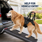 Full-Body Padded Dog Mobility Harness (Adjustable Lift Straps)