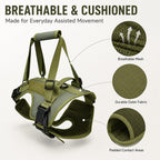 Full-Body Padded Dog Mobility Harness (Adjustable Lift Straps)