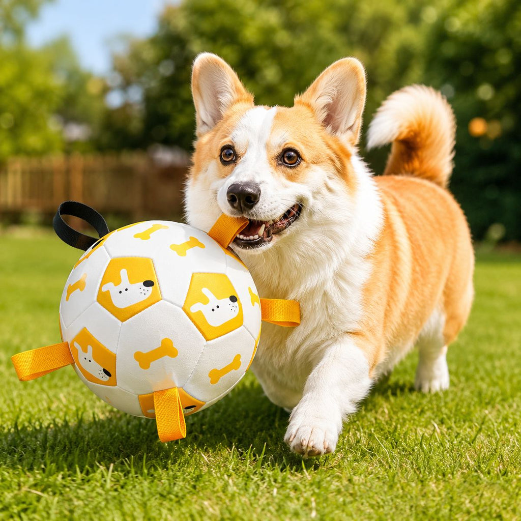 Grab-Tab Inflatable Dog Soccer Ball (Pump Included)
