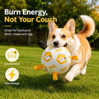 Grab-Tab Inflatable Dog Soccer Ball (Pump Included)