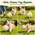 Grab-Tab Inflatable Dog Soccer Ball (Pump Included)