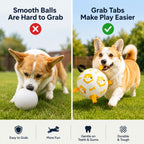 Grab-Tab Inflatable Dog Soccer Ball (Pump Included)