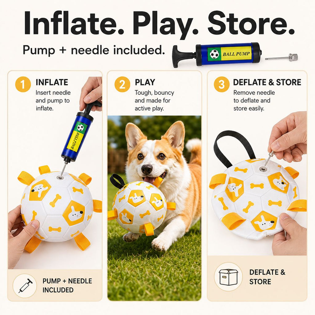 Grab-Tab Inflatable Dog Soccer Ball (Pump Included)