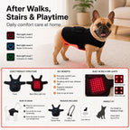 Hands-Free Red & Near-Infrared Vest (For French Bulldogs)
