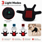 Hands-Free Red & Near-Infrared Vest (For French Bulldogs)