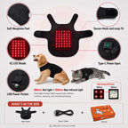 Hands-Free Red & Near-Infrared Vest (For French Bulldogs)