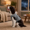 Hug-Like Adjustable Breathable Dog Comfort Wrap Vest