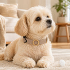Low-Profile Built-In AirTag Pet Collar