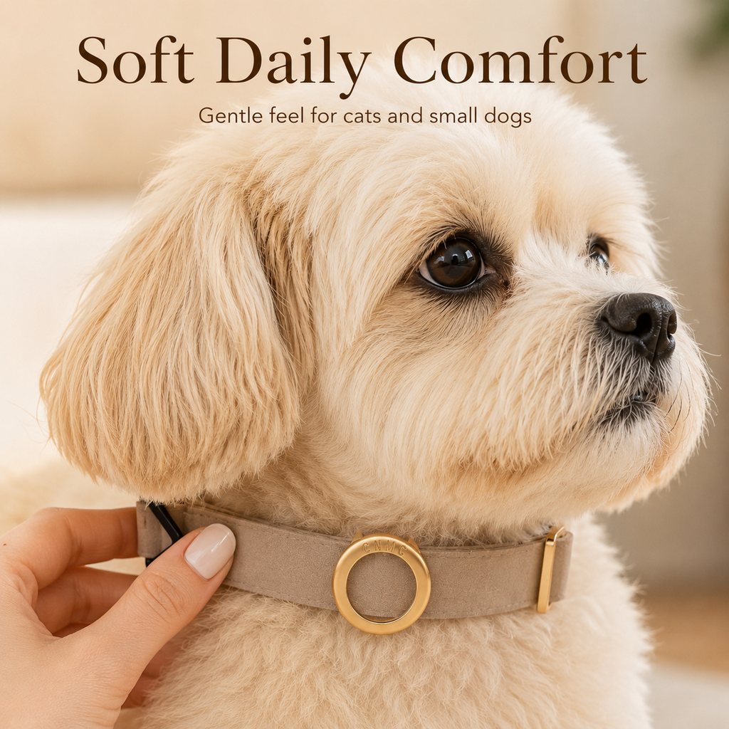 Low-Profile Built-In AirTag Pet Collar