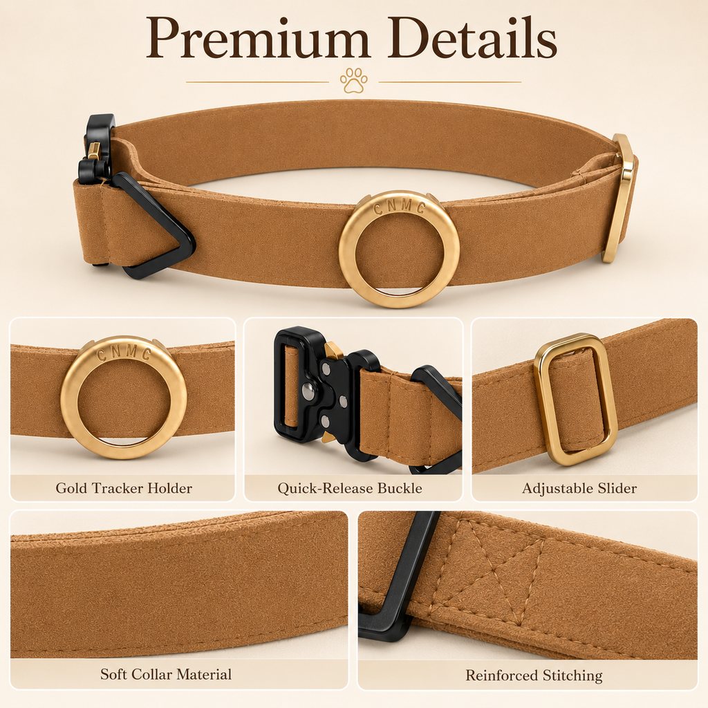 Low-Profile Built-In AirTag Pet Collar