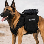 MOLLE-Ready Heavy-Duty Dog Harness (Breathable Mesh)