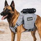 MOLLE-Ready Heavy-Duty Dog Harness (Breathable Mesh)