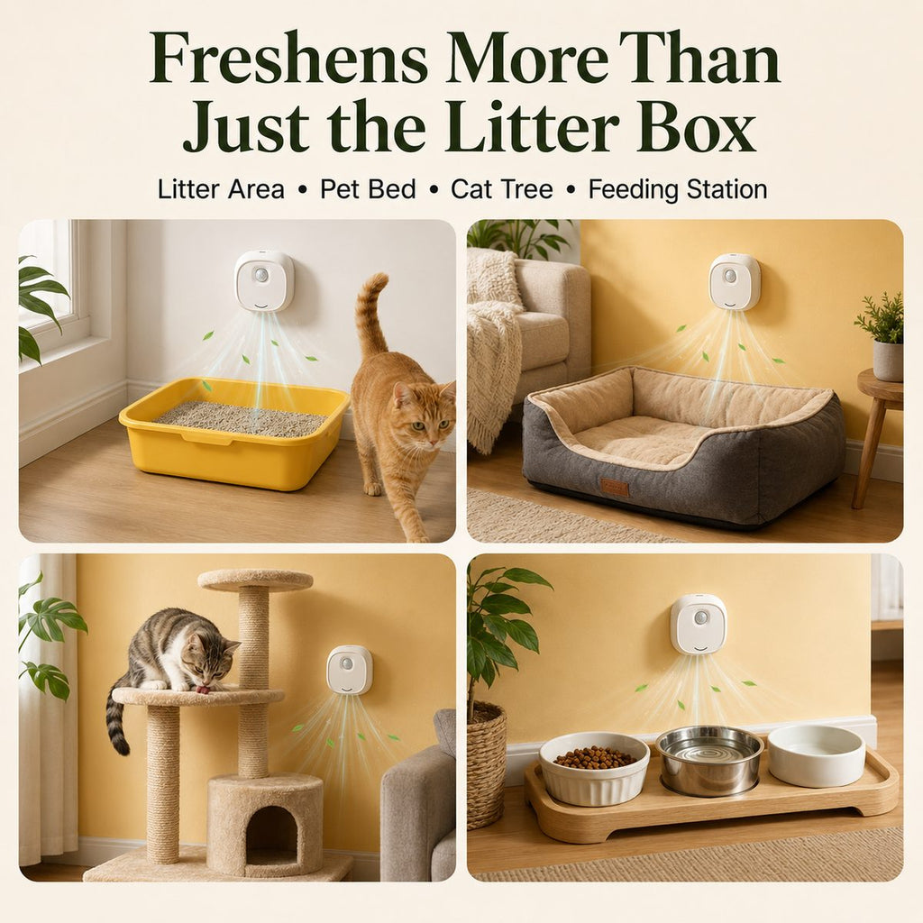 Motion-Sensing USB-C Rechargeable Litter Box Deodorizer
