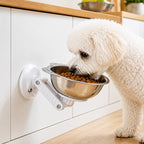 No-Drill Suction Stainless Steel Wall-Mounted Pet Bowl