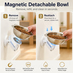 No-Drill Suction Stainless Steel Wall-Mounted Pet Bowl