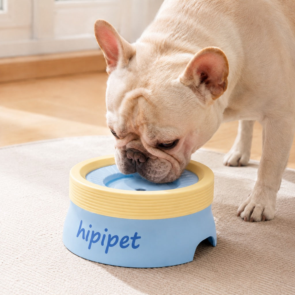 No-Drip Detachable Floating Dog Water Bowl