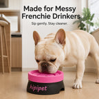 No-Drip Detachable Floating Dog Water Bowl