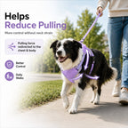 No-Pull Built-In Retractable Leash Dog Harness