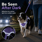 No-Pull Built-In Retractable Leash Dog Harness