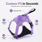 No-Pull Built-In Retractable Leash Dog Harness