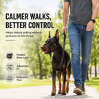 No-Pull Padded Adjustable Dog Head Halter