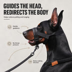 No-Pull Padded Adjustable Dog Head Halter