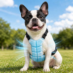 PCM & Waterproof Pet Cooling Vest (Adjustable Straps & Quick-Release Buckles)