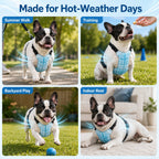 PCM & Waterproof Pet Cooling Vest (Adjustable Straps & Quick-Release Buckles)