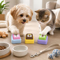 Recordable Anti-Slip Pet Communication Button