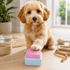 Recordable Anti-Slip Pet Communication Button