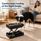 Remote-Controlled Height-Adjustable Dog Feeder (Stainless Steel Bowls)