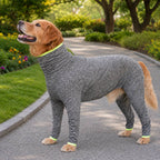 Shedding-Control Stretch Dog Full-Body Suit (Large Breed)