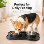 Spill-Proof Non-Slip Silicone Dual Pet Bowl (Removable Stainless Steel Bowls)