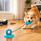 Suction Cup Dog Chew & Tug Toy (Textured Dental Nubs)