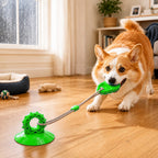 Suction Cup Dog Chew & Tug Toy (Textured Dental Nubs)
