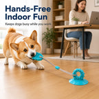 Suction Cup Dog Chew & Tug Toy (Textured Dental Nubs)