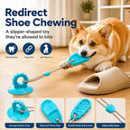 Suction Cup Dog Chew & Tug Toy (Textured Dental Nubs)