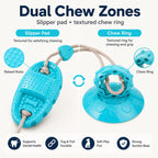 Suction Cup Dog Chew & Tug Toy (Textured Dental Nubs)