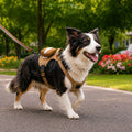 Tactical Breathable Reflective Dog Harness (Top Handle & Storage Pouch)