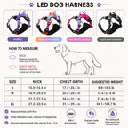 USB-C Rechargeable LED Dog Harness (Reflective Mesh)