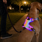 USB-C Rechargeable LED Dog Harness (Reflective Mesh)